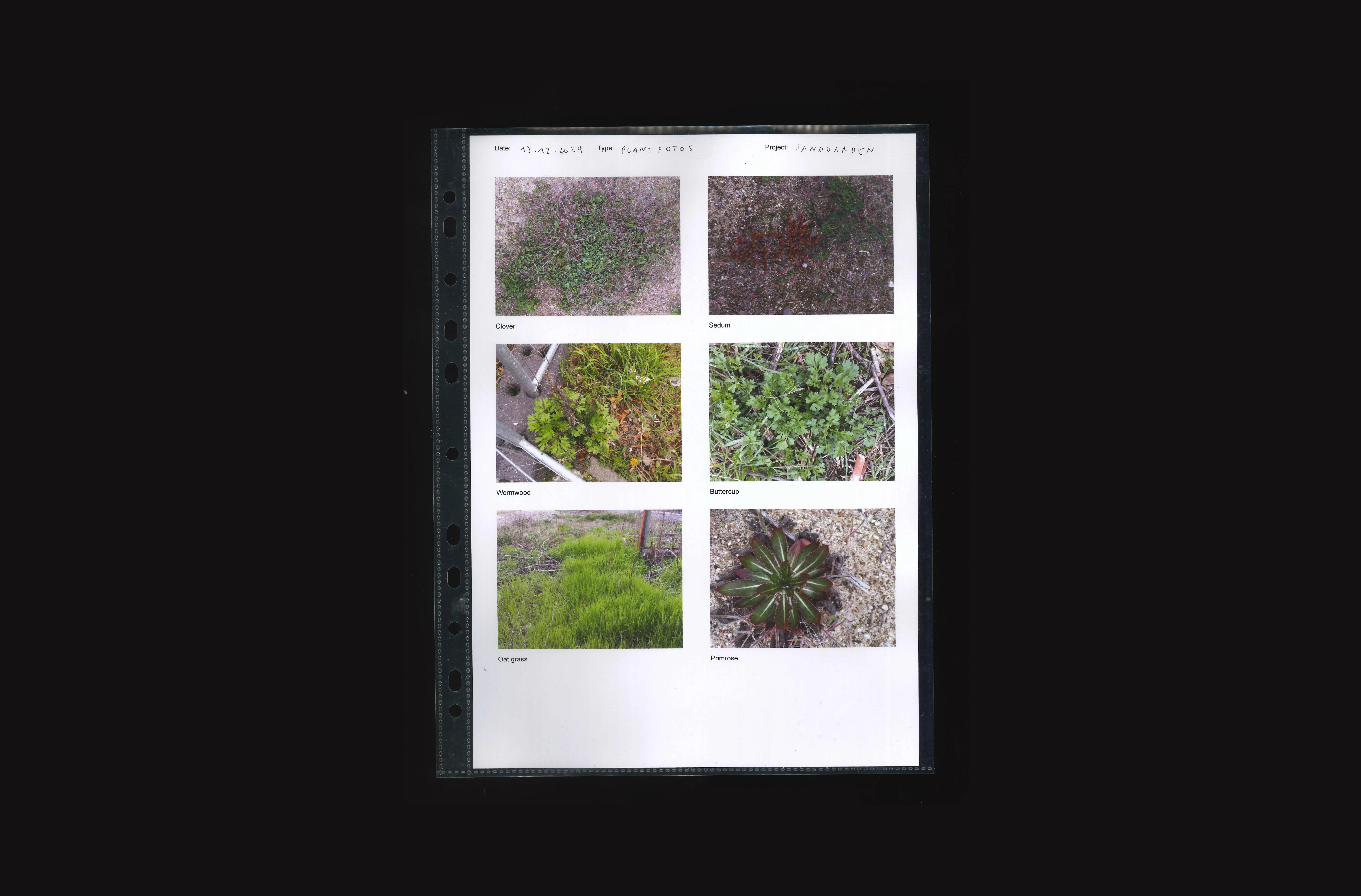 Project image
